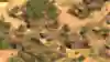Image of the Mailians civilisation in Age of Empires 2