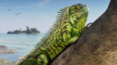 GTA 6'dan alınan bir ekran görüntüsünde Leonida Keys bölgesinde bir iguana görülüyor.