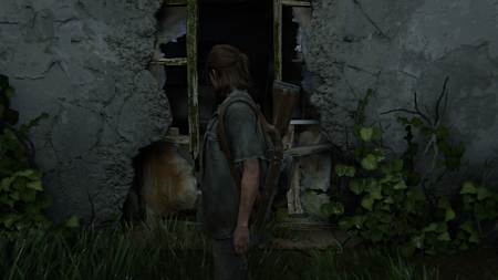 Last of us 2