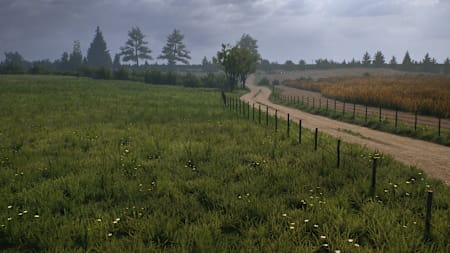 Screenshot aus EA Sports WRC 24 zeigt eine Etappe der Rallye Polen.