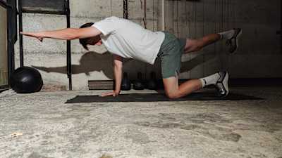 Bird dog is a really good move to put your limbs through their full range of motion