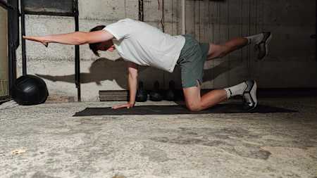 Bird dog is a really good move to put your limbs through their full range of motion