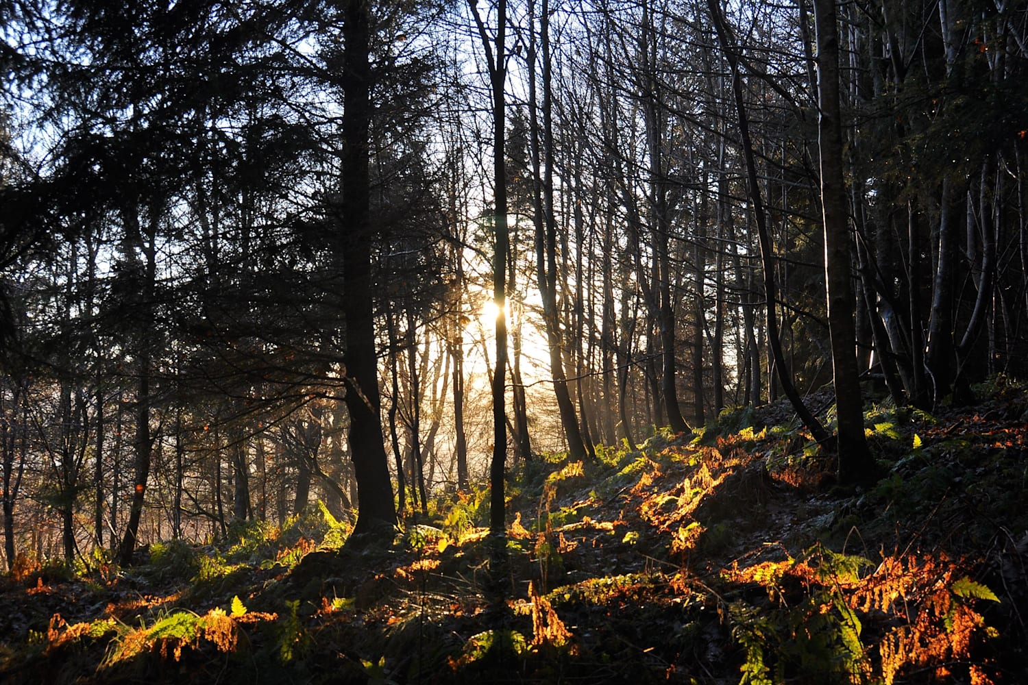 best-bike-rides-uk-the-top-6-in-britain
