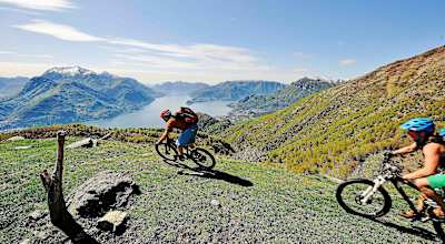 mountainbikes für große männer LSLIFE 26