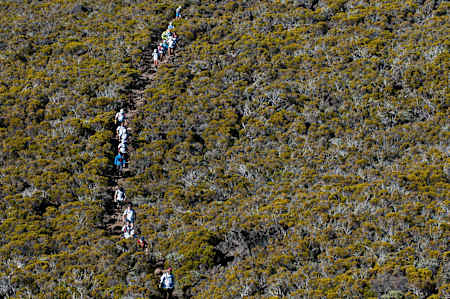 Teilnehmer beim Diagonale des Fous