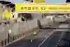 Isack Hadjar ahead of Paul Aron at the Macau GP 2023