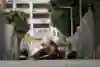 Dennis Hauger racing F3 at the Macau GP 2023