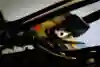 Zane Maloney is ready to race Formula 3 at the Macau GP 2023