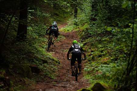 VTT descente de La Prada, une des nombreuses pistes de la région de Val di Sole en Italie.