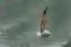 Orlando Duque enters the water during Red Bull Cliff Diving.