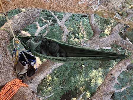 Hammock hangs high in tree canopy.
