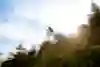 Ronan Dunne riding the step down at Red Bull Hardline 2024 Dinas Mawddwy, United Kingdom