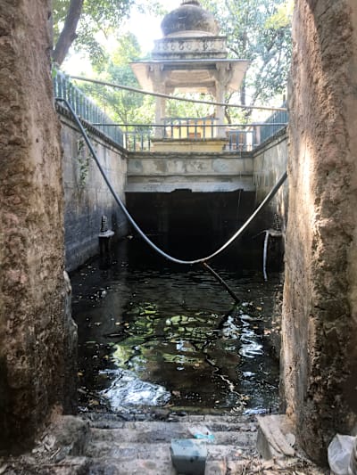 Gulab Bagh, a stepwell in Udaipur, Rajasthan.