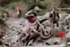 Jonny Walker competes during the Super Enduro - FIM Hard Enduro World Championship 2024 Stop 1 - Valleys Hard Enduro in Wales, United Kingdom on 10-12 May, 2024. 