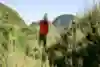 Ryan Sandes is seen during a training and route scouting weekend in George, South Africa on April 30, 2023.