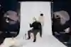 Disguised Toast photographed at the Toronto Red Bull office on January 17, 2024.