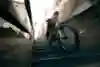 Tomas Slavik scende da una scalinata a Genova,