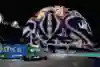 Yuki Tsunoda of Japan on track during final practice ahead of the F1 Grand Prix of Las Vegas at Las Vegas Strip Circuit on November 22, 2024.