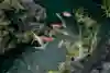 Rhiannan Iffland dives from 20 metres during the 2025 Red Bull Cliff Diving World Series first stop at the picturesque Small Lagoon in El Nido, Philippines