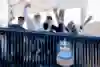 Red Bull Pool Clash judges in Switzerland