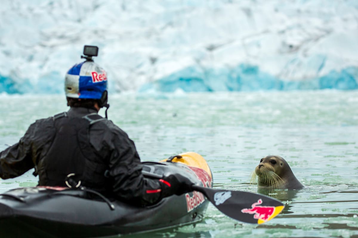 Ο Aniol Serrasolses παρακολουθεί έναν θαλάσσιο λέοντα ενώ κωπηλατεί στον Αρκτικό Ωκεανό κοντά στο παγόβουνο Austfonna, στο Σβάλμπαρντ στις 4 Αυγούστου 2023.