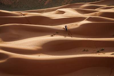 Daniel Sanders on his GasGas of the Red Bull GasGas Factory Racing Team during the Stage 8 of the Dakar 2024 on January 15, 2024.