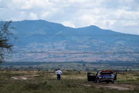Le championnat du monde des rallyes WRC fait le tour du monde.