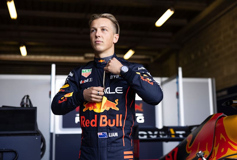 Red Bull Energy Drink – Gives You Wiiings
