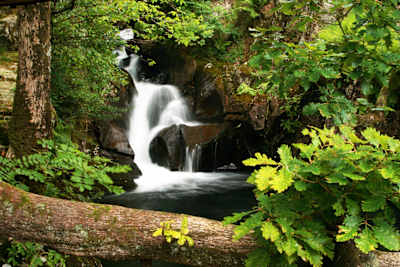 Pay tribute to Wordsworth at Rydal Bower.