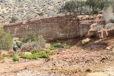We ride over a small desert stream, pungent like a botanical garden