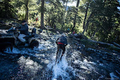 Andean streams begin their lives as glaciers, so the water can be freezing