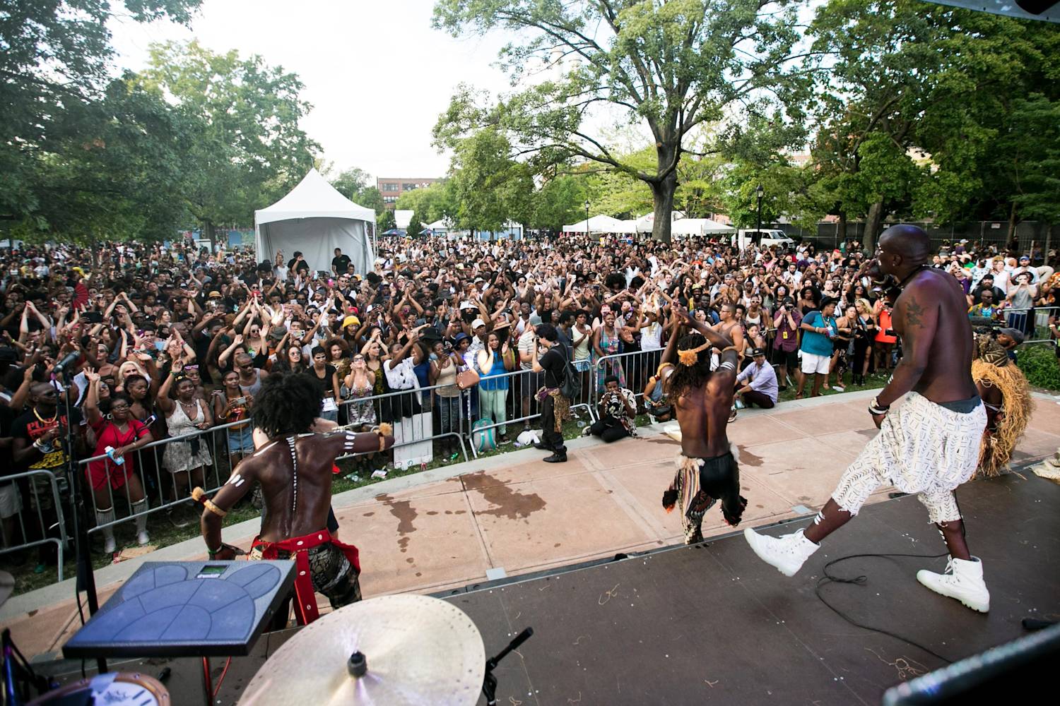 Afropunk Festival Brooklyn 2018 Lineup Breakdown
