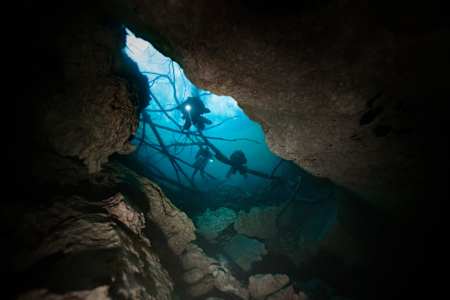 Cave diver Jill Heinerth pictured leading an exploration of the Orange Grove Sink Spring in Florida, USA.