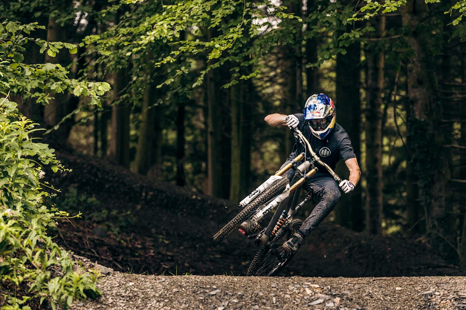 dyfi mtb trails