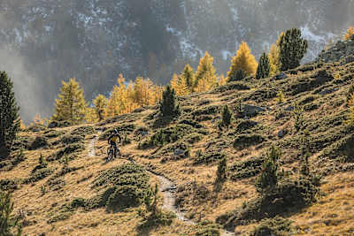 Mountainbiker David Florin auf einem Flowtrail nahe St. Moritz