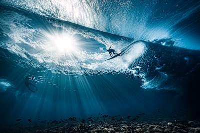 The Unknown Surfer