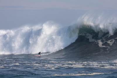 Dominique Charrier en Punta de Lobos