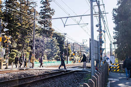 Маленький трип