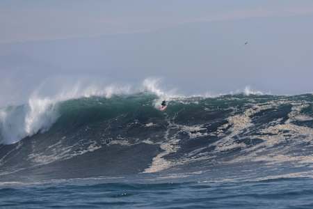 Dominique Charrier en Punta de Lobos