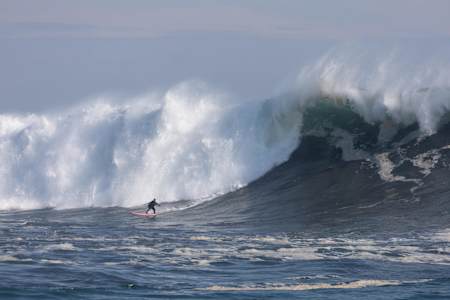 Dominique Charrier en Punta de Lobos