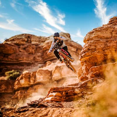 Red bull mountain bikes sales
