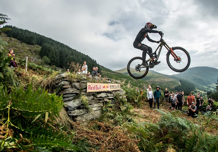 Red online bull descenso