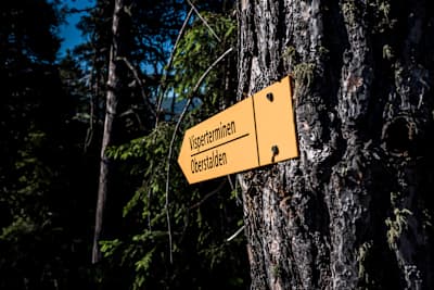 Trail sign on descent from Visperterminen to Visp, Switzerland on June 27, 2018.