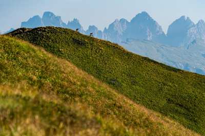 The Dolomites are a unique part of the Alps.