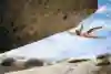 Dynos are the coolest moves in climbing 