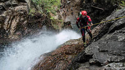 Grey Mares Tail