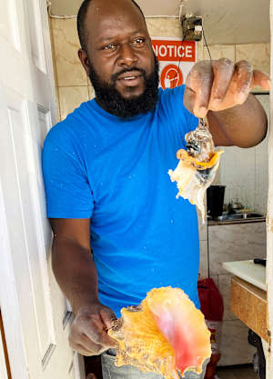 Ces escargots de mer vivent dans des coquillages et sont consommés en friture ou en salade.