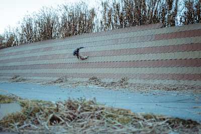 Un spot como el Fòrum de Barcelona se convierte en una ola con un surfskate