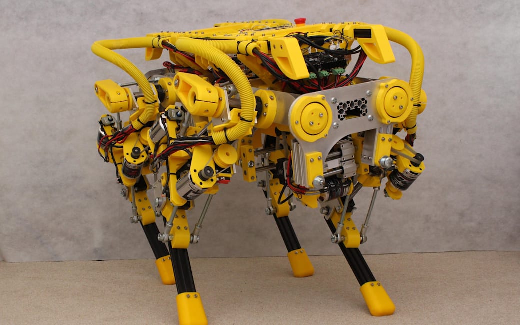 build your own robot dog
