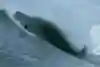 Justine Dupont surfing at Mavericks in California
